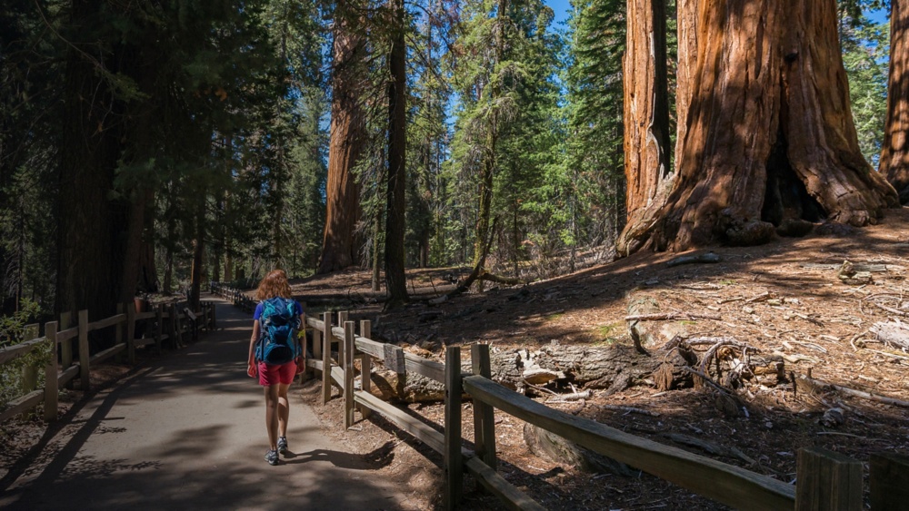 Yucca point 2024 trail kings canyon